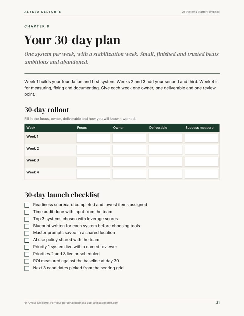 AI Systems Starter Playbook sample page